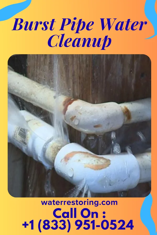 Burst Pipe Water Cleanup in Chilili, NM